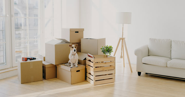 How self storage can help when moving house