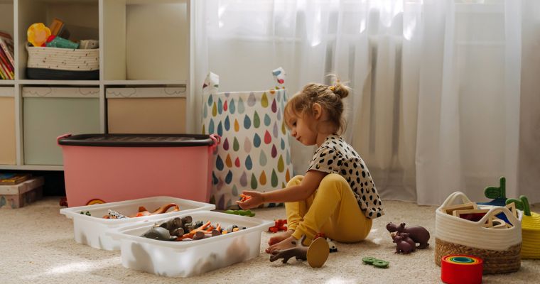 Louez un local de stockage pour le rangement de vieux jouets