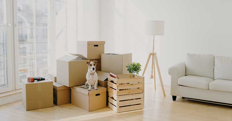 Where to get free cardboard boxes for moving