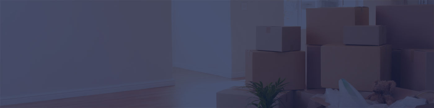 homepage
